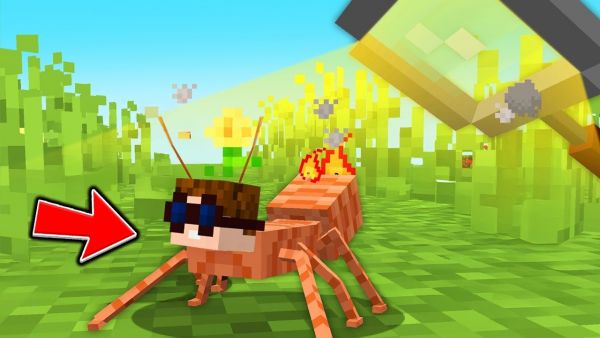 ALS AMEISE ÜBERLEBEN in Minecraft