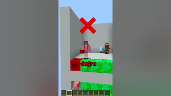 Minecraft'ta Renkleri Bilme Yarışması !! #shorts
