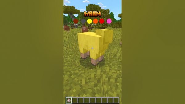 COOLES neues Minecraft Update! #minecraft