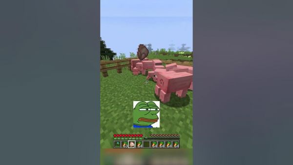 oinkerton oinkington oinkingting