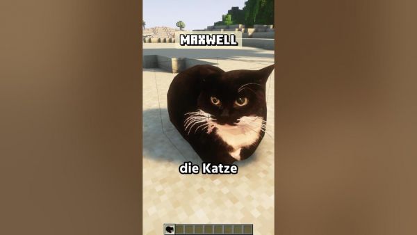Minecraft Mods aber CURSED! Teil 25 #minecraft #minecraftmods #minecraftcursed #minecraftdeutsch