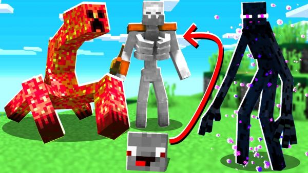 JEDE MINUTE IN MUTANT VERWANDELN in Minecraft !