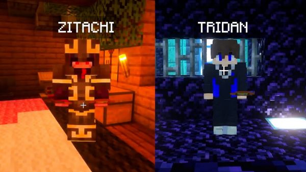 ZITACHI und TRIDAN ... BITTE KOMMT ZURÜCK!