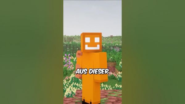 Von einer MOD zu einem RICHTIGEN SPIEL!… #minecraft #toobad #vintagecraft