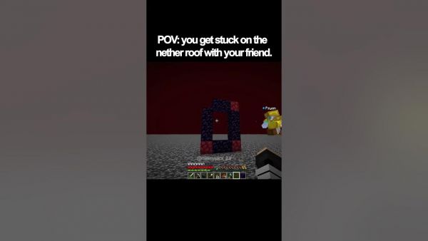 POV you get stuck on the nether roof with your friend