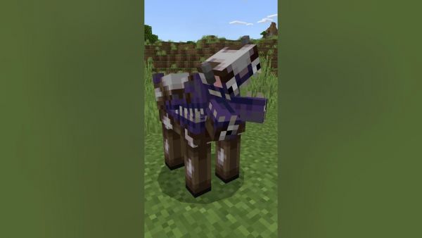 Ich kaufe Minecraft Add-ons und bewerte sie! Teil 23 #minecraft #minecraftaddon #minecraftdeutsch