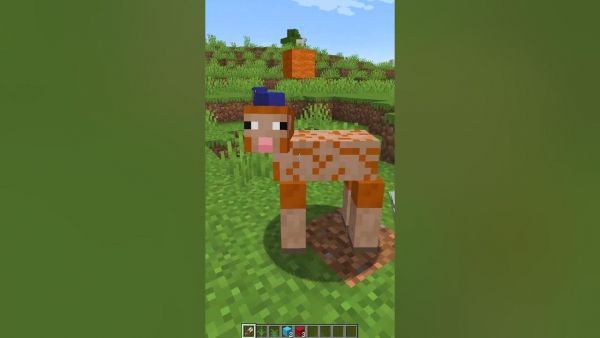 MINECRAFT hat jetzt NEUE Spawn-Eier!