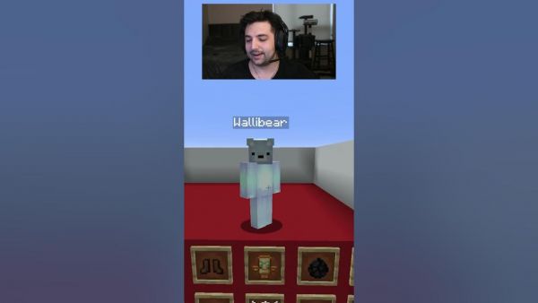 MOB ARENA WITH WALLIBEAR #gaming #⁠youtube #funny #minecraft #memes #tiktok #shorts #ytshorts
