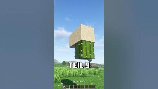 Das wusstest du in Minecraft SAFE noch nicht! #minecraft #minecrafttipsandtricks #minecraftsecrets