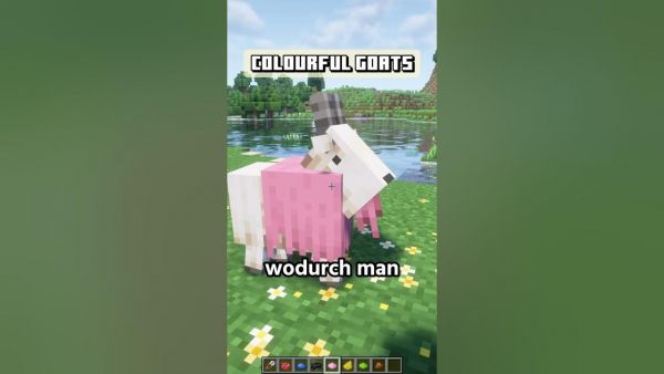 Minecraft Mods aber CHILLIG! #minecraft #minecraftmods #minecraftdeutsch #minecrafter #mcde
