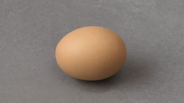 egg [Dream SMP]