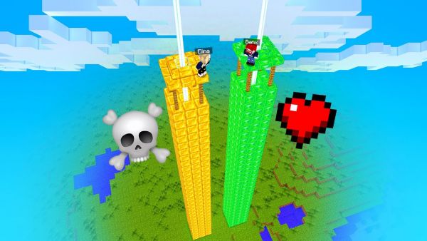 WELCHER BRUNNEN ist RICHTIG? - Minecraft Dumm oder Schlau