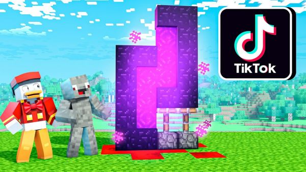 DIE VERRÜCKTESTEN TIKTOK HACKS in Minecraft !