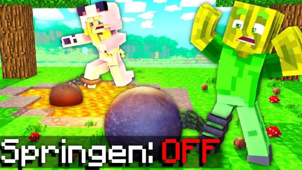 1 TAG OHNE SPRINGEN SPIELEN?! - Minecraft WOLF 2