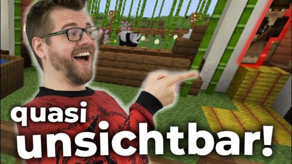 Verstecken auf dem Minecraft-Mod-Server!