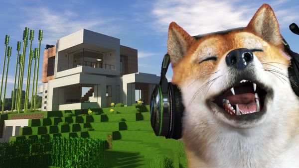 ZURÜCK BEIM HAUSBAU-HUND!