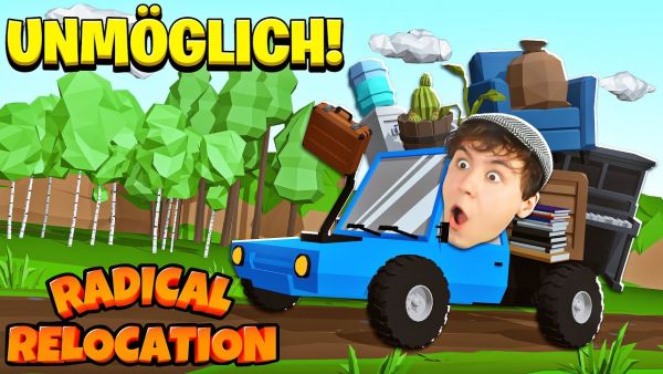 ROMAN DER UMZUGSPROFI ?? - Radical Relocation