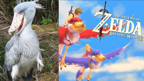 SKYWARD SWORD VÖGEL in Botw?! 🌳 THE LEGEND OF ZELDA BREATH OF THE WILD 🌳 #17
