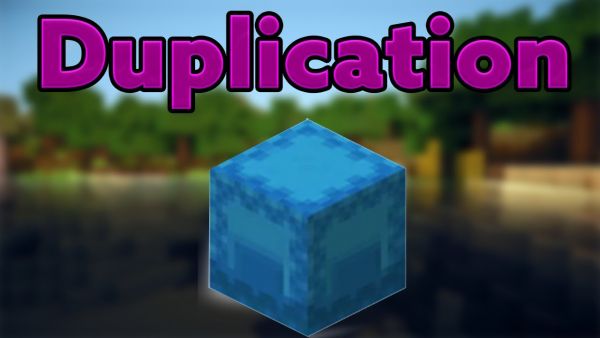 Minecraft Shulker Box Duplication 1.16 #Shorts