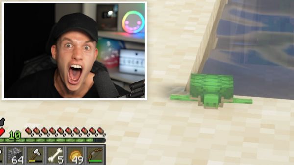 Wenn ENDLICH deine Schildkröten in Minecraft schlüpfen