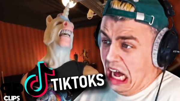 Papaplatte reagiert auf TikToks die Held der Steine komisch machen