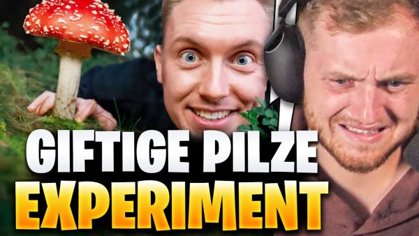 😨🍄ER ISST GIFTIGE FLIEGENPILZE! - Tomatolix REAKTION | Trymacs Stream Highlights