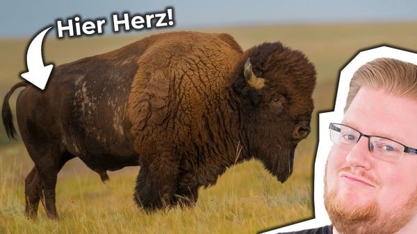 Wir müssen das HERZ treffen! wissen aber nicht wo. | The Hunter Challenge