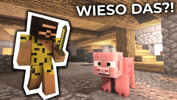 Es geht mit GEFAHR weiter! | Minecraft DLDS Part 2