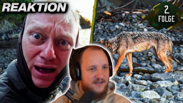 😍🤣"KNOSSI & SASCHA SIND SO DURCH" - 7 vs. Wild: Teams - Wolfsgebiet - #2 | ELoTRiX Highlights