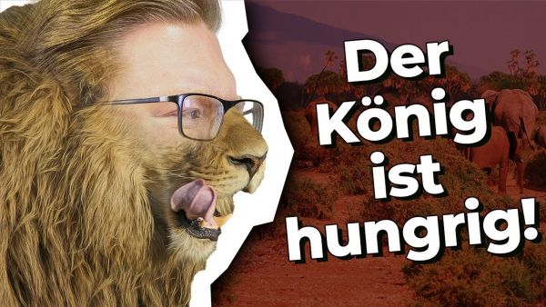 "Fällt nur SELTEN einem FRESSFEIND zum OPFER!" | Tierquiz