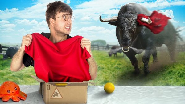 Ich öffne Fanpost neben WILDEN Stieren
