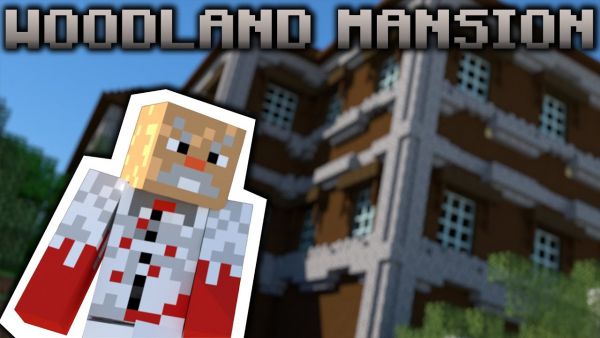 Jay hatte da eine SEHR schlechte Idee. | Minecraft DLDS 9